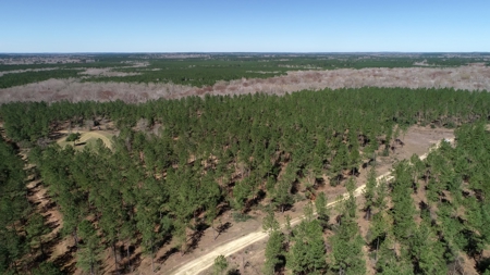 Frazier Creek Hunt Club – East TX Sportsman's Paradise - image 36