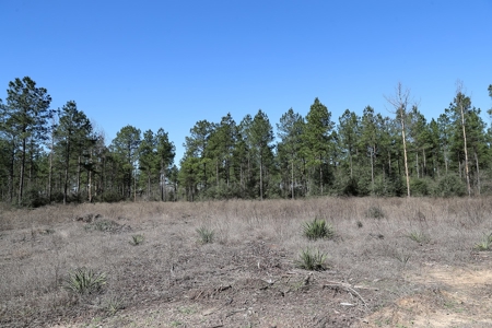 Frazier Creek Hunt Club – East TX Sportsman's Paradise - image 25
