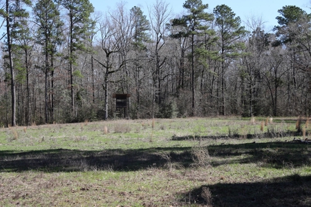 Frazier Creek Hunt Club – East TX Sportsman's Paradise - image 21