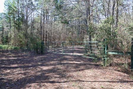 Frazier Creek Hunt Club – East TX Sportsman's Paradise - image 9