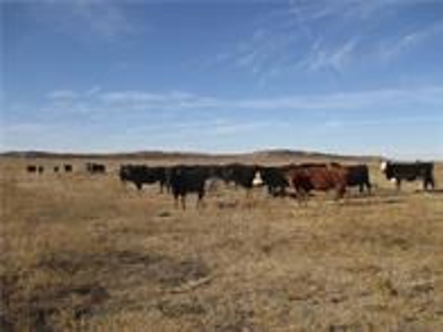 Haystack Mountain For Sale - Greer County Land For Sale - image 1