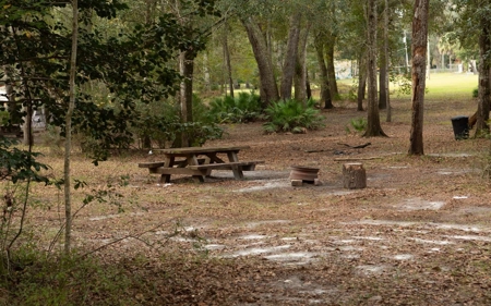 A very unique Suwannee River Property! - image 16