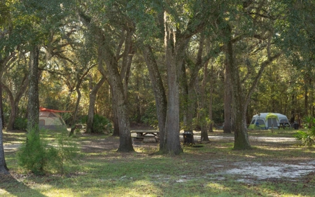 A very unique Suwannee River Property! - image 4