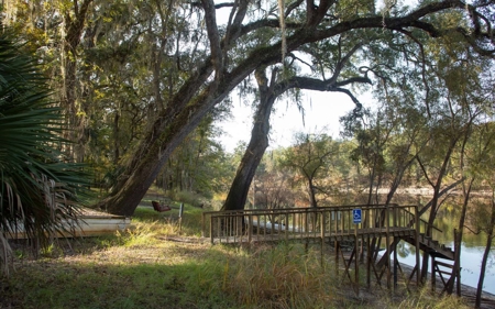 A very unique Suwannee River Property! - image 11
