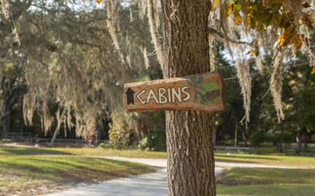 A very unique Suwannee River Property! - image 13