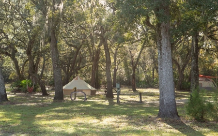 A very unique Suwannee River Property! - image 3