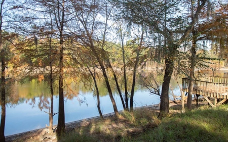 A very unique Suwannee River Property! - image 2