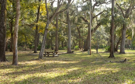 A very unique Suwannee River Property! - image 12