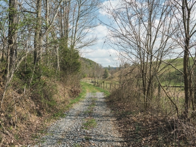 Incredible Hunting Property in Pilot VA for Sale! - image 7