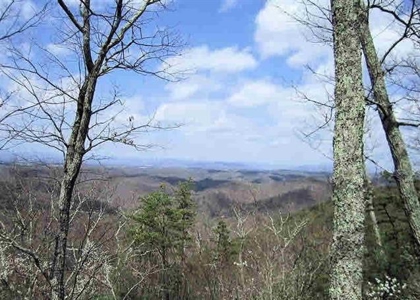 Incredible Hunting Property in Pilot VA for Sale! - image 28