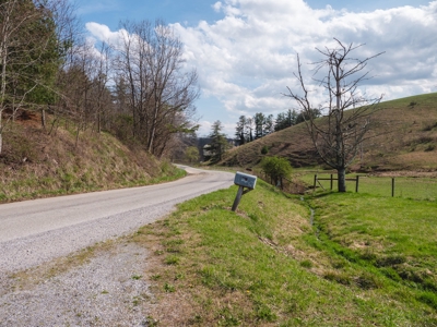 Incredible Hunting Property in Pilot VA for Sale! - image 5