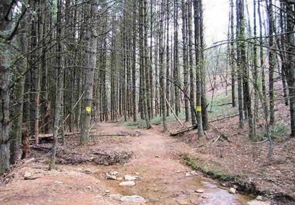 Incredible Hunting Property in Pilot VA for Sale! - image 29