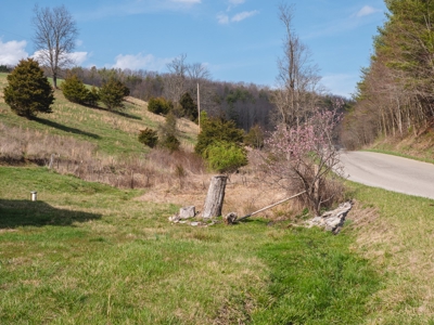 Incredible Hunting Property in Pilot VA for Sale! - image 3