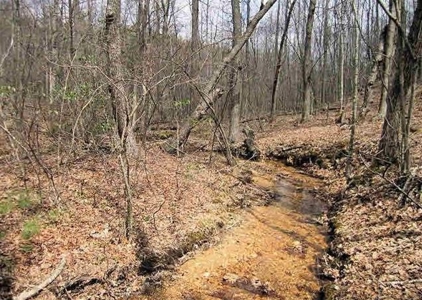 Incredible Hunting Property in Pilot VA for Sale! - image 32