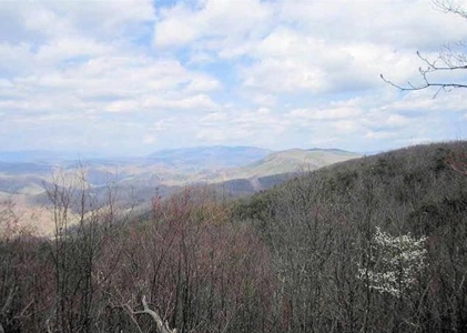 Incredible Hunting Property in Pilot VA for Sale! - image 33