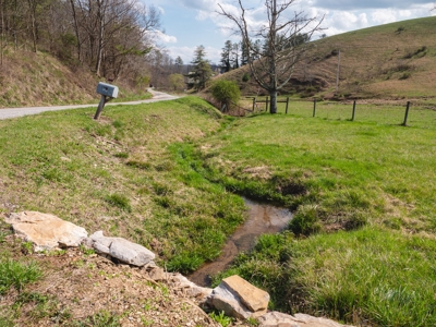 Incredible Hunting Property in Pilot VA for Sale! - image 4