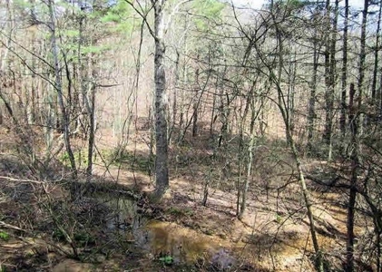 Incredible Hunting Property in Pilot VA for Sale! - image 30