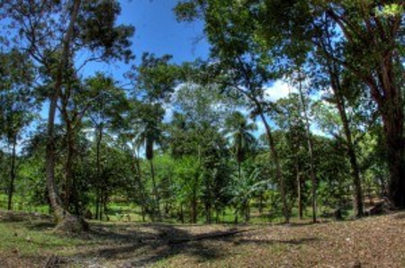 2 acre titled lot on Isla Carenero, Bocas del Toro, Panama - image 1