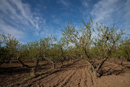 Paonia CO orchard and farm market for sale with home & shop - image 33