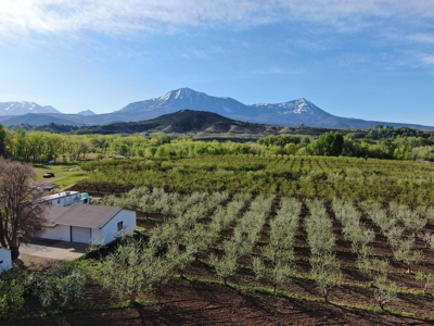 Paonia CO orchard and farm market for sale with home & shop - image 40