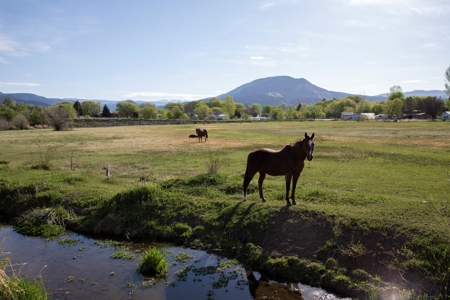 Paonia CO orchard and farm market for sale with home & shop - image 34