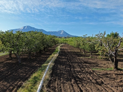 Paonia CO orchard and farm market for sale with home & shop - image 31
