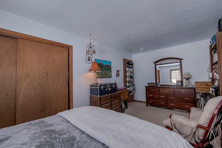 Mountain Modern Colorado home with fresh air and bright sun - image 12