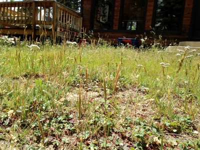 Mountain Modern Colorado home with fresh air and bright sun - image 17