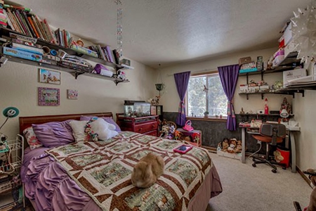 Mountain Modern Colorado home with fresh air and bright sun - image 6