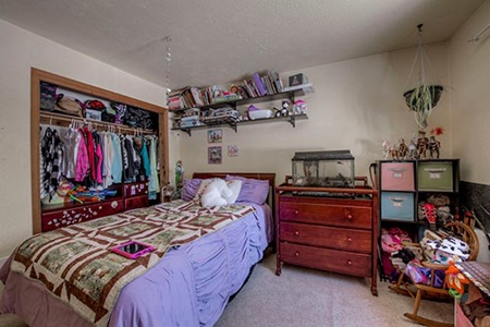 Mountain Modern Colorado home with fresh air and bright sun - image 7