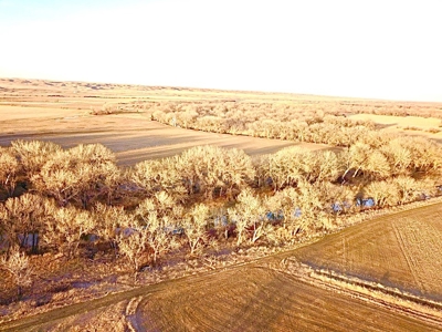 Milk River Hunting Property Milk River Valley Malta Montana - image 38