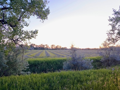 Milk River Hunting Property Milk River Valley Malta Montana - image 45
