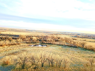 Milk River Hunting Property Milk River Valley Malta Montana - image 41