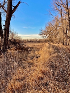 Milk River Hunting Property Milk River Valley Malta Montana - image 42