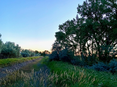 Milk River Hunting Property Milk River Valley Malta Montana - image 48
