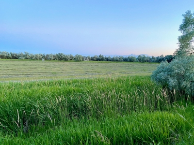 Milk River Hunting Property Milk River Valley Malta Montana - image 47