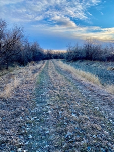 Milk River Hunting Property Milk River Valley Malta Montana - image 29