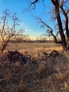 Milk River Hunting Property Milk River Valley Malta Montana - image 31