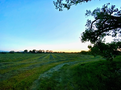 Milk River Hunting Property Milk River Valley Malta Montana - image 46