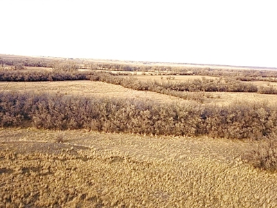 Milk River Hunting Property Milk River Valley Malta Montana - image 37