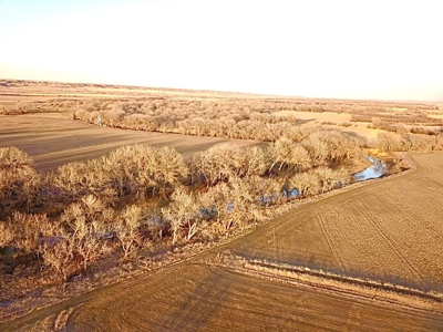 Milk River Hunting Property Milk River Valley Malta Montana - image 14