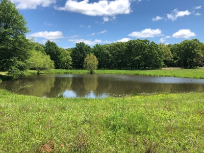 Home and land for sale Southeast Oklahoma - image 21