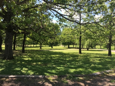 Home and land for sale Southeast Oklahoma - image 14