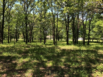 Home and land for sale Southeast Oklahoma - image 22