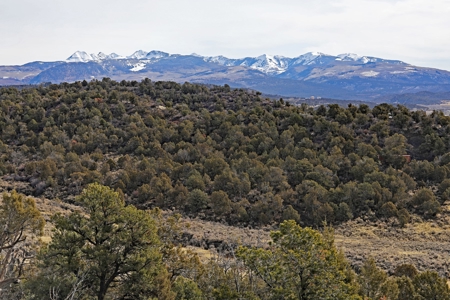 Country home in SW CO, borders BLM, no covenants,Views,Solar - image 13