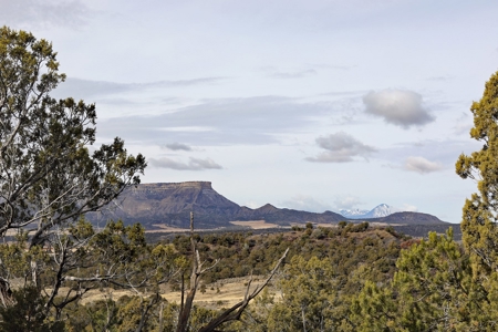 Country home in SW CO, borders BLM, no covenants,Views,Solar - image 14