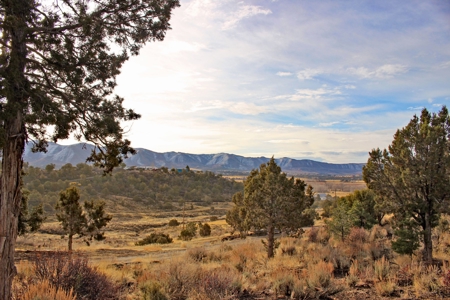 Country home in SW CO, borders BLM, no covenants,Views,Solar - image 6