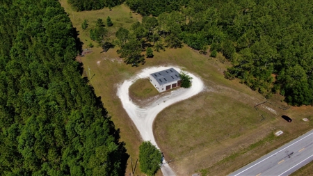 250+ Acres Timberland - North Central Florida, Newberry - image 37