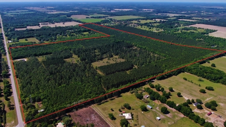 250+ Acres Timberland - North Central Florida, Newberry - image 30