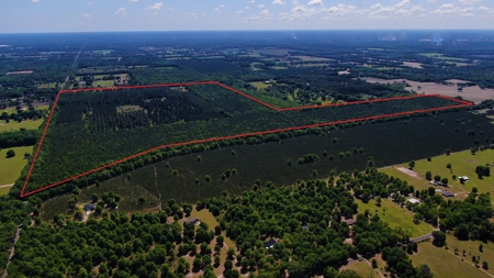 250+ Acres Timberland - North Central Florida, Newberry - image 33